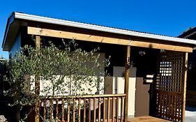 The Olive Tree Shed